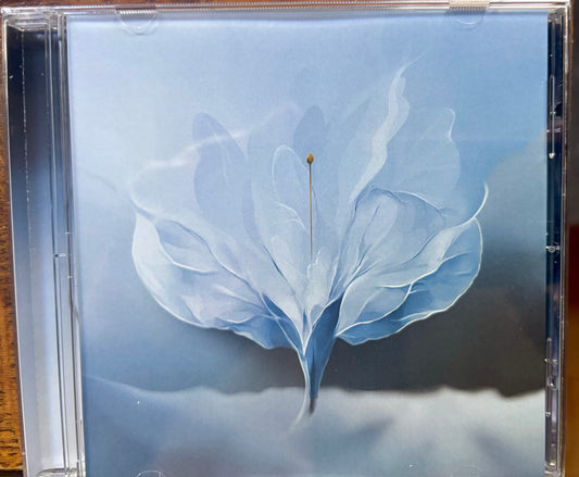 Vox Pterous compact disc - Signed by Dren